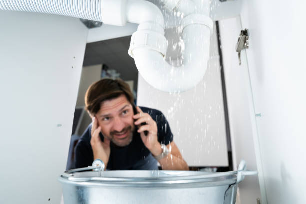 Best Best Plumbers Near Me  in Waldron, AR
