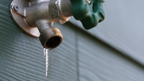 Best Same-Day Plumbing Service  in Waldron, AR